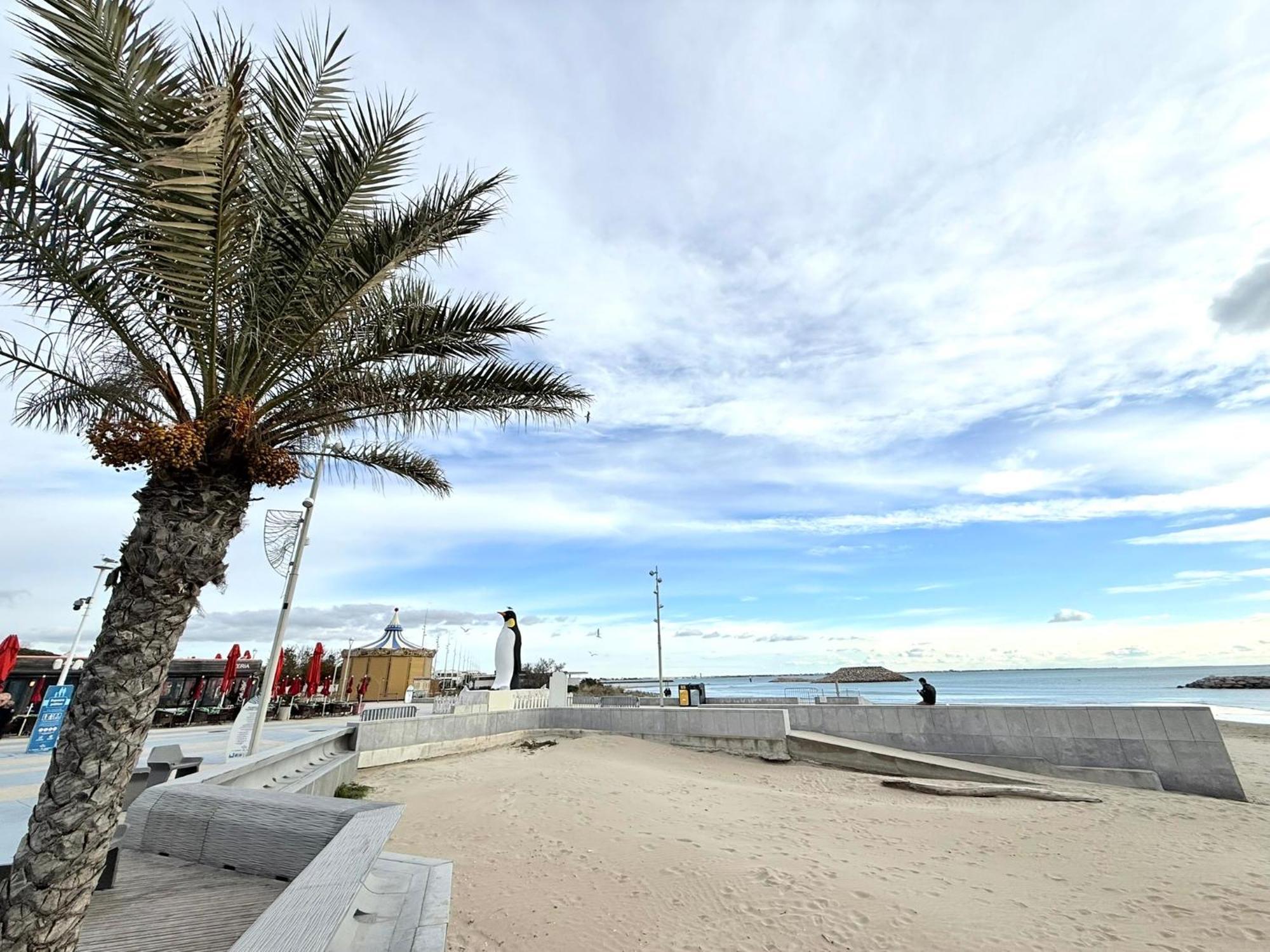 Appart Grande Motte Quartier Couchant - Parking - Balcon- Piscine - Plage 300M Λα Γκραντ-Μοτ Εξωτερικό φωτογραφία
